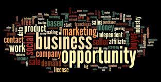 bussiness oppotunity video